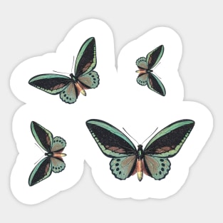 Colorful Butterfly , Cute Light Butterflies Gift Idea Sticker